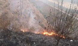 秀山曝光爆料最新消息,揭秘事件真相，真相大白！